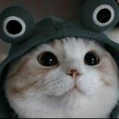 Đua bi