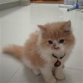 Lợi ích của việ