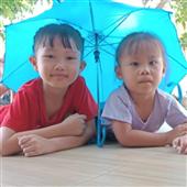 Cá cược đua chó