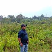 Cuộc Phiêu Lưu 