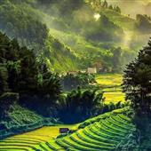 Vị Cứu Tinh - H