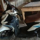 Động vật trốn c