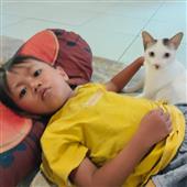 Lịch thi đấu FI