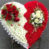 Thuyền Rồng Gấu