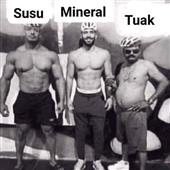 Vua của nhữ