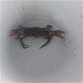 Kênh phân phối 
