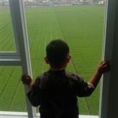 Bảng xếp hạng N