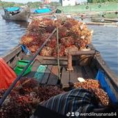 BỮA TIỆC NỔ