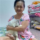 Vua Hiệp Sĩ