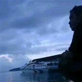 Trang xem t