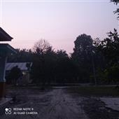 Trực tiếp b
