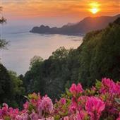 Lịch thi đấu gi