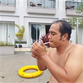 Rồng Hổ May