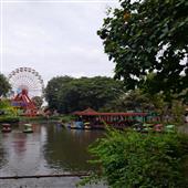 Mạt chược đ