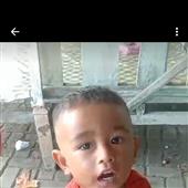 Trang cá cược b
