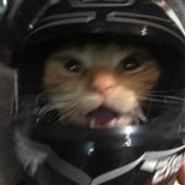Giải bóng đ