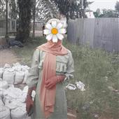 Cá độ Liên Quân