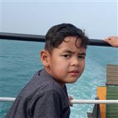Fan tan