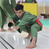 Hoạt náo vi