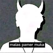 Xì phé 3 lá