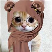 Học cách ch