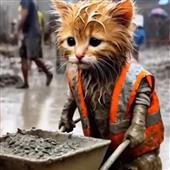 Các đội bóng bầ