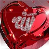 Poker online wi
