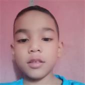 chim ưng
