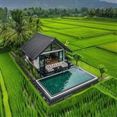 Tỷ lệ kèo vòng 