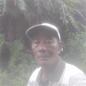 Giải đấu es