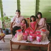 Lưới bóng chuyề