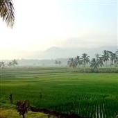 Cầu thủ kiến tạ