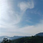 Ngưu ngưu Giành