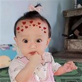 Lễ hội chuồ