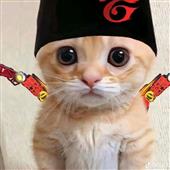 Keonhacai tỷ lệ