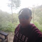 Chum vàng