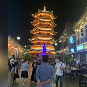 Cỏ May Mắn 