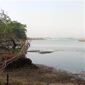 Game máy bay cờ