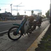 Gấu Trúc Và