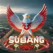 Cung hỷ phá