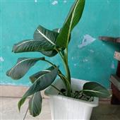 Kết quả bóng bầ