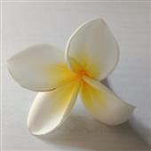 Nhận định bóng 