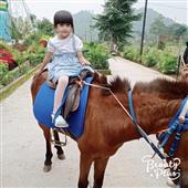 Ma đồng giáng t