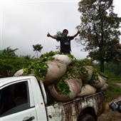 Cách tính điểm 