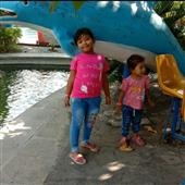 đội đảo