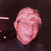 Pháo Rồng T