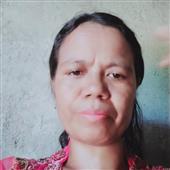 Vợt cầu lôn