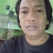 12 chòm sao