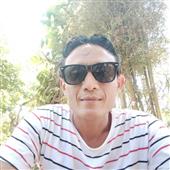 Heo Vàng