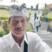 Ninjia Gấu Mèo